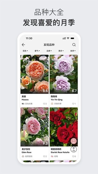 月季之家手机版图4
