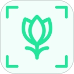 万物识别免费版