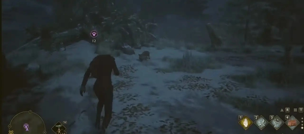 在霍格沃茨之遗中，该怎么去捕捉神奇动物？