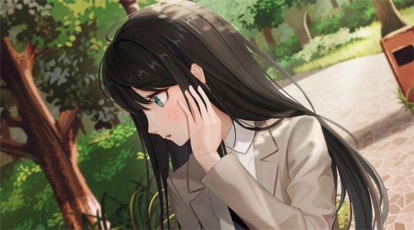 完美恋人通用版图5