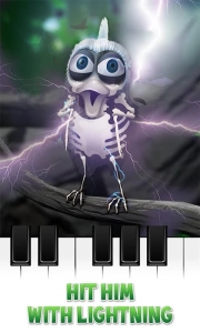 会说话的拉里鸟安卓免费版图2