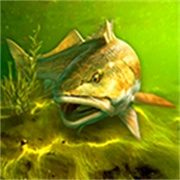 我的钓鱼世界中文版