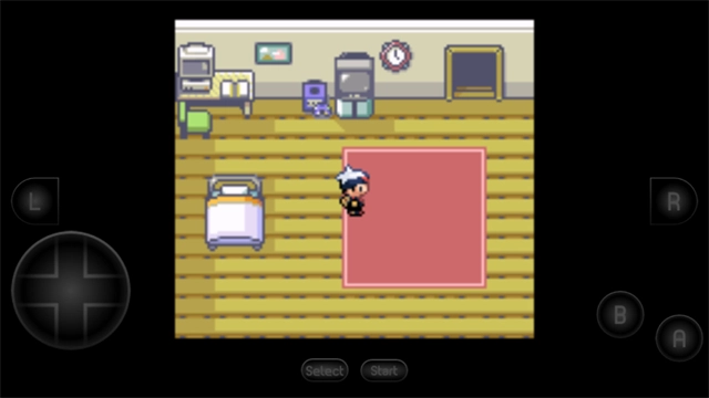 口袋妖怪红宝石免费版图3