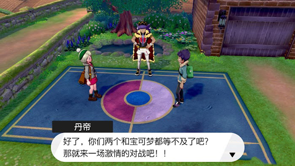 精灵宝可梦剑盾新手对战界面截图