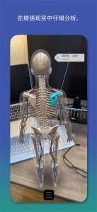 2026人体解剖学图谱图5