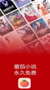 番茄小说极速版图1