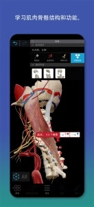 2026人体解剖学图谱图4