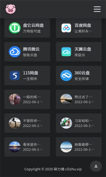 磁力猪图3