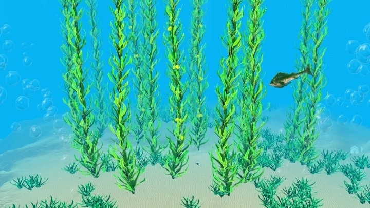 水下生存深潜安卓官方版