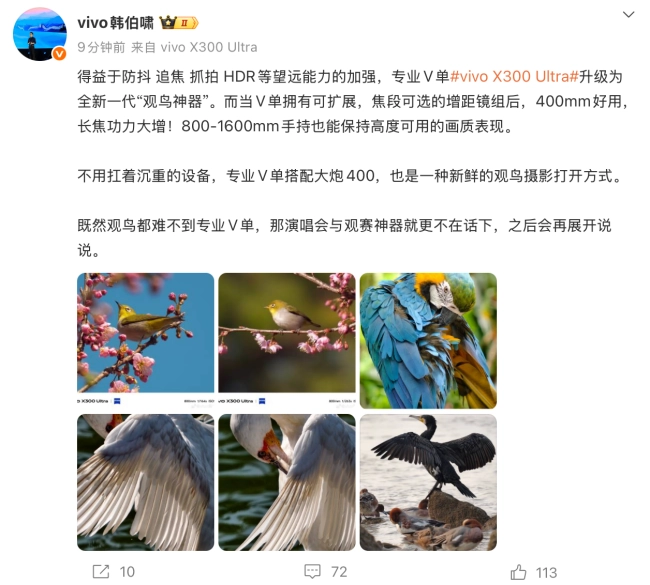 vivo X300 Ultra增距镜：1600mm手持观鸟的大胆尝试