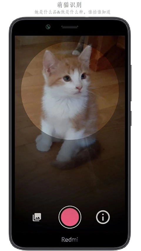 万物志最新免费版图2