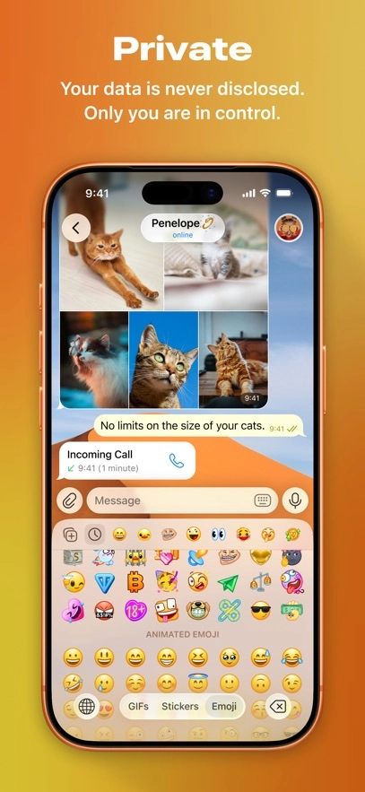 telegram通用版图3