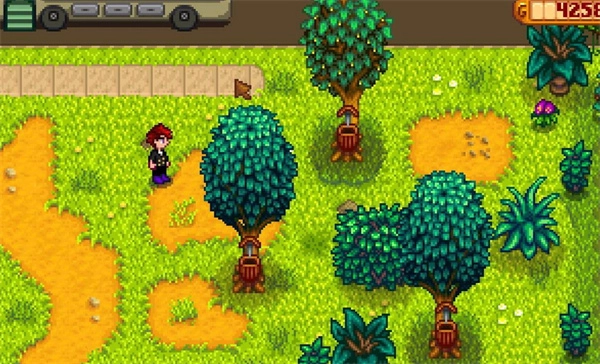 《星露谷物语》地窖建造步骤详细指南