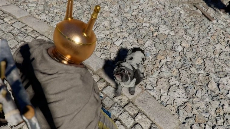 玩家在《红色沙漠》中发现特殊机制，小动物竟会因此溺亡