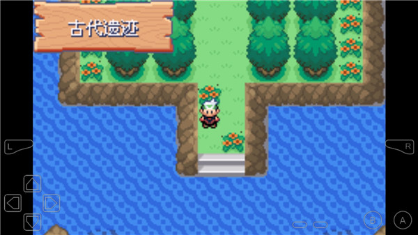 口袋妖怪永恒之沫截图