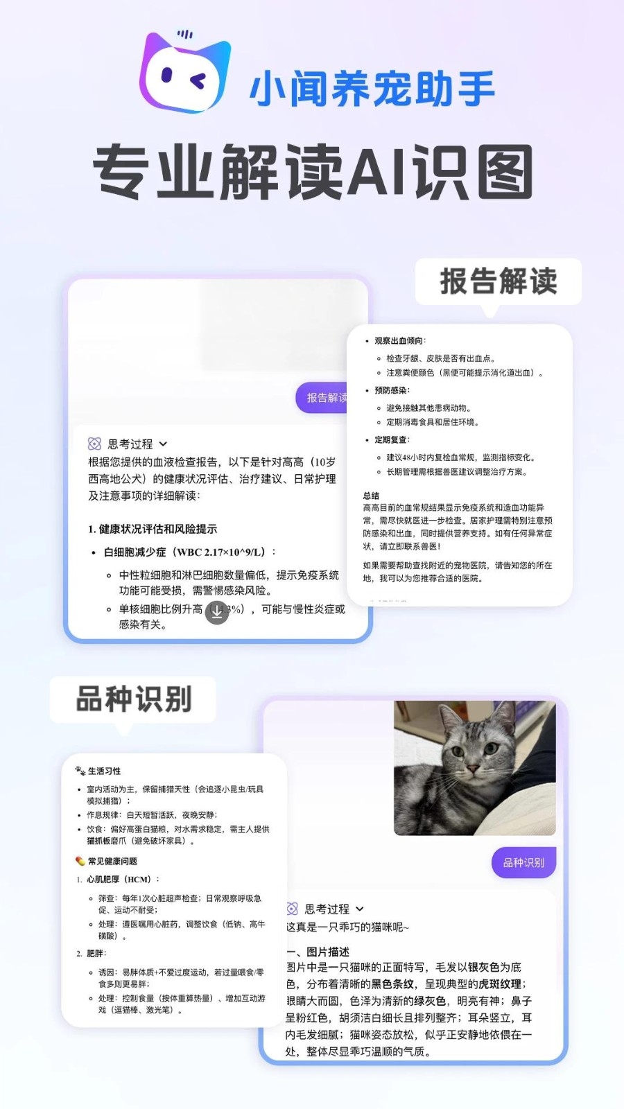 小闻养宠助手截图