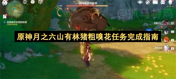 原神月之六山林猪粗嗅花任务通关指引