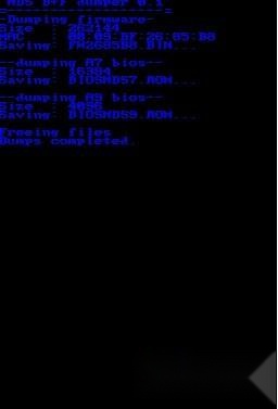 运行dsbf_dump.nds显示dump成功