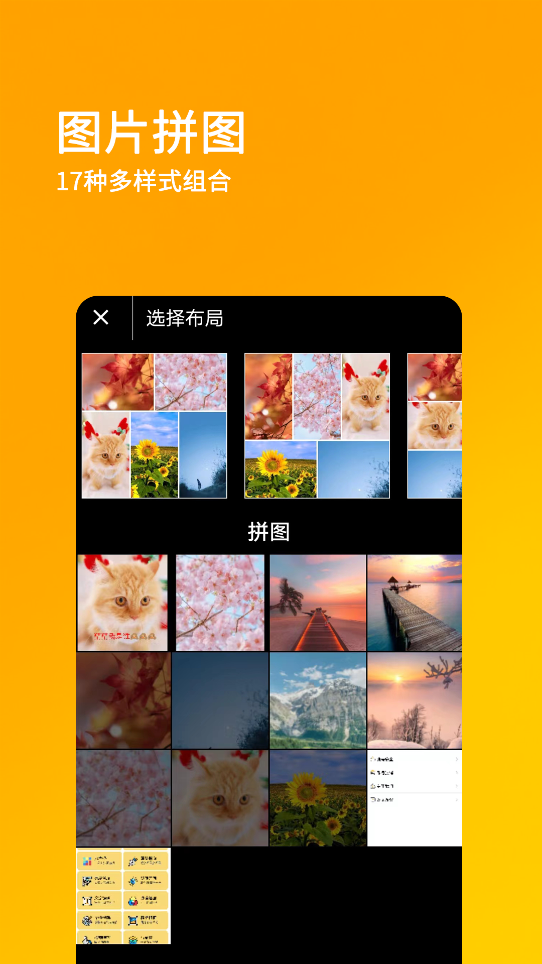 刷兔圈免费版3