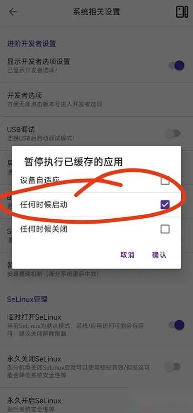 暂停缓存应用功能入口