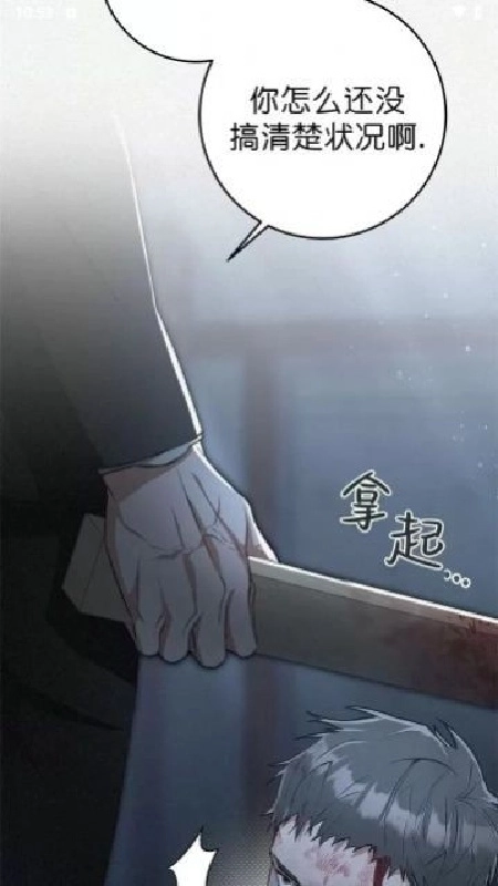 蛋圈无广告版截图