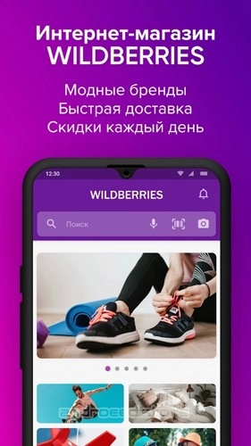 wildberries图2