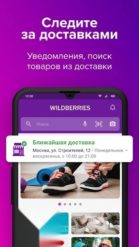 wildberries图1