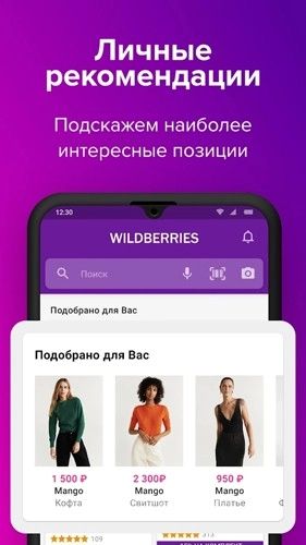 wildberries图3