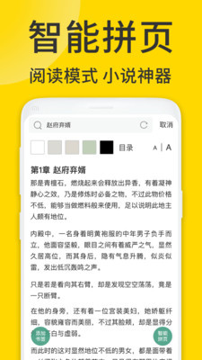 ViaX浏览器老版截图0