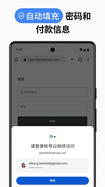 chrome谷歌浏览器4