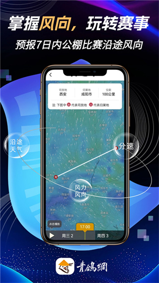 青鸽网截图4
