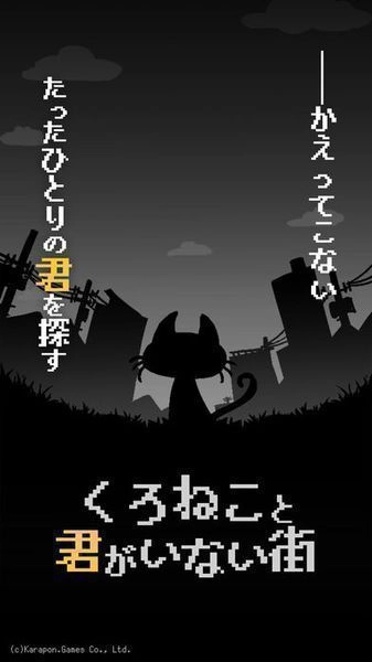 黑猫与你都不在的城市