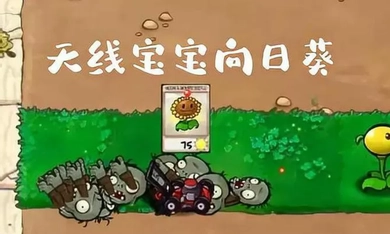 植物大战僵尸废物版图1