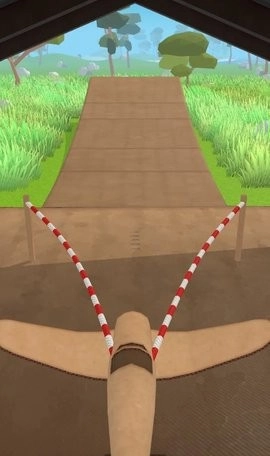 飞机模拟高手(1)