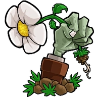 植物大战僵尸转基因版