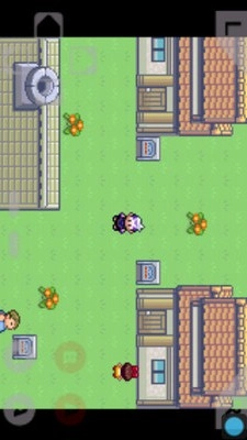 口袋妖怪绿宝石