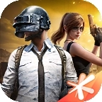 和平精英模拟器安装手机版