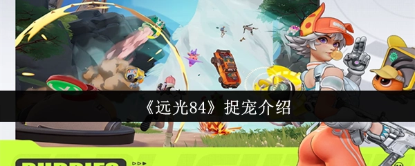 《远光84》宠物捕捉相关介绍