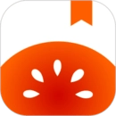 番茄免费小说2025