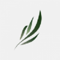 东南小说正版 V1.4.07