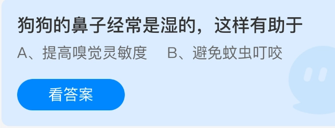 狗狗的鼻头通常是湿润的，这会起到一定帮助。