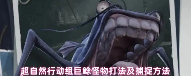 超自然行动组巨鲶怪物的打法与捕捉方式