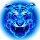 四虎影视2025最新版