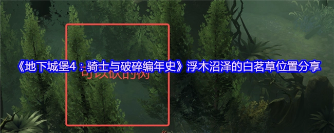 《地下城堡4：骑士与破碎编年史》浮木沼泽中白茗草位置的分享