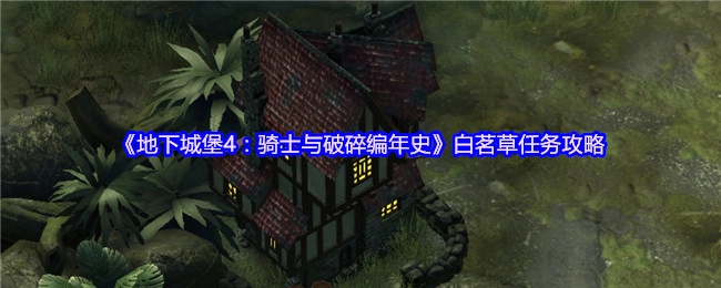 《地下城堡4：骑士与破碎编年史》白茗草任务的详细攻略