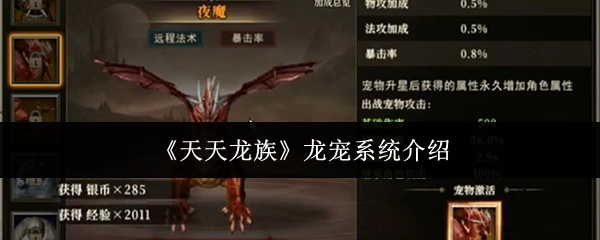 《天天龙族》之中龙宠系统的介绍