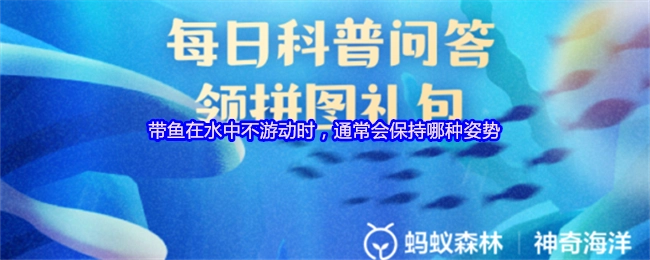 当带鱼在水中处于不游动状态时，一般会呈现何种姿势？
