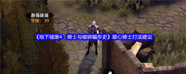 《地下城堡4：骑士与破碎编年史》中雄心骑士的打法建议