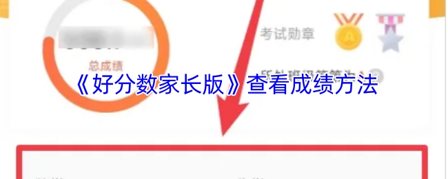 《好分数家长版》中查看成绩的方式