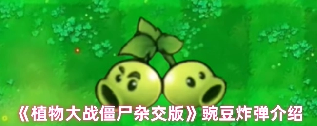 《植物大战僵尸杂交版》中豌豆炸弹的相关介绍